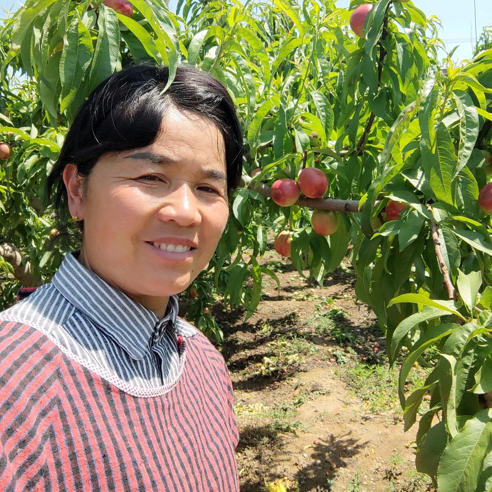 农村四姐。