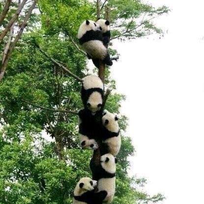 溯真