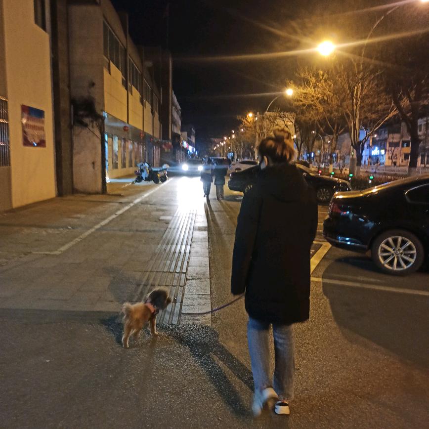 小刘爱吃臭豆腐