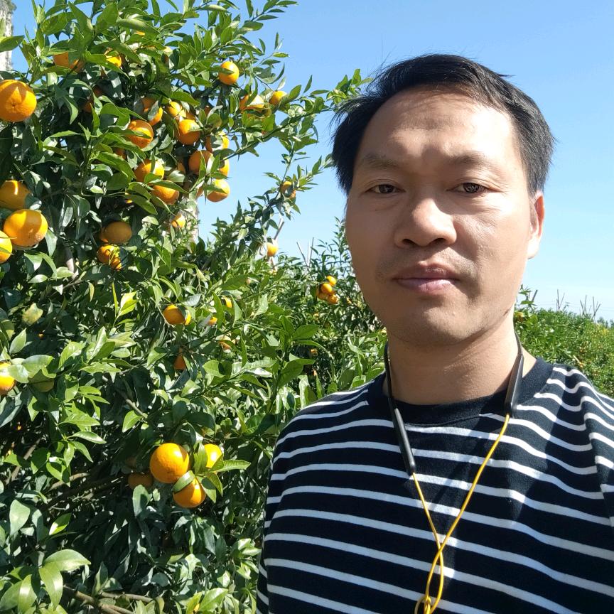 新时代返乡创业的农民