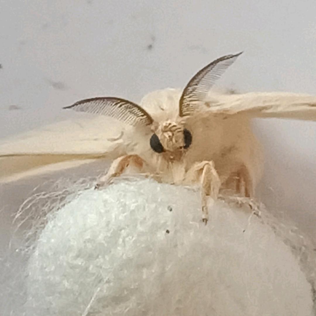 淘气童年、外贸童装特