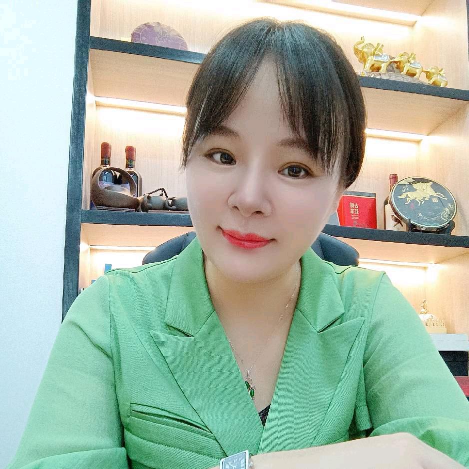 @刘昭君