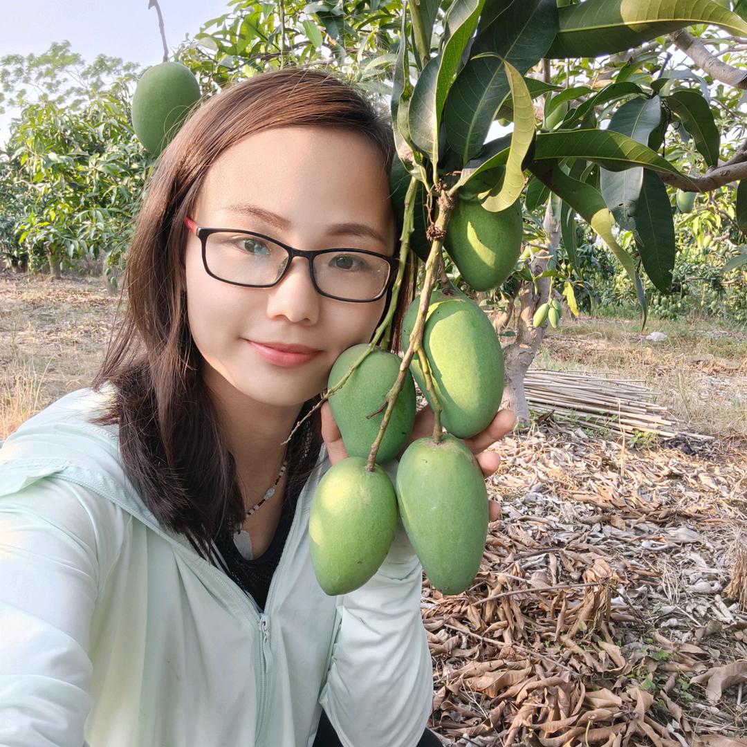 贤妹水果（百色芒果）