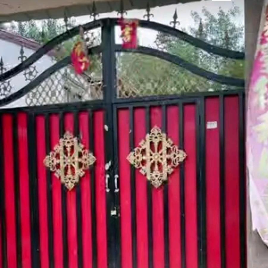 格桑花🌸