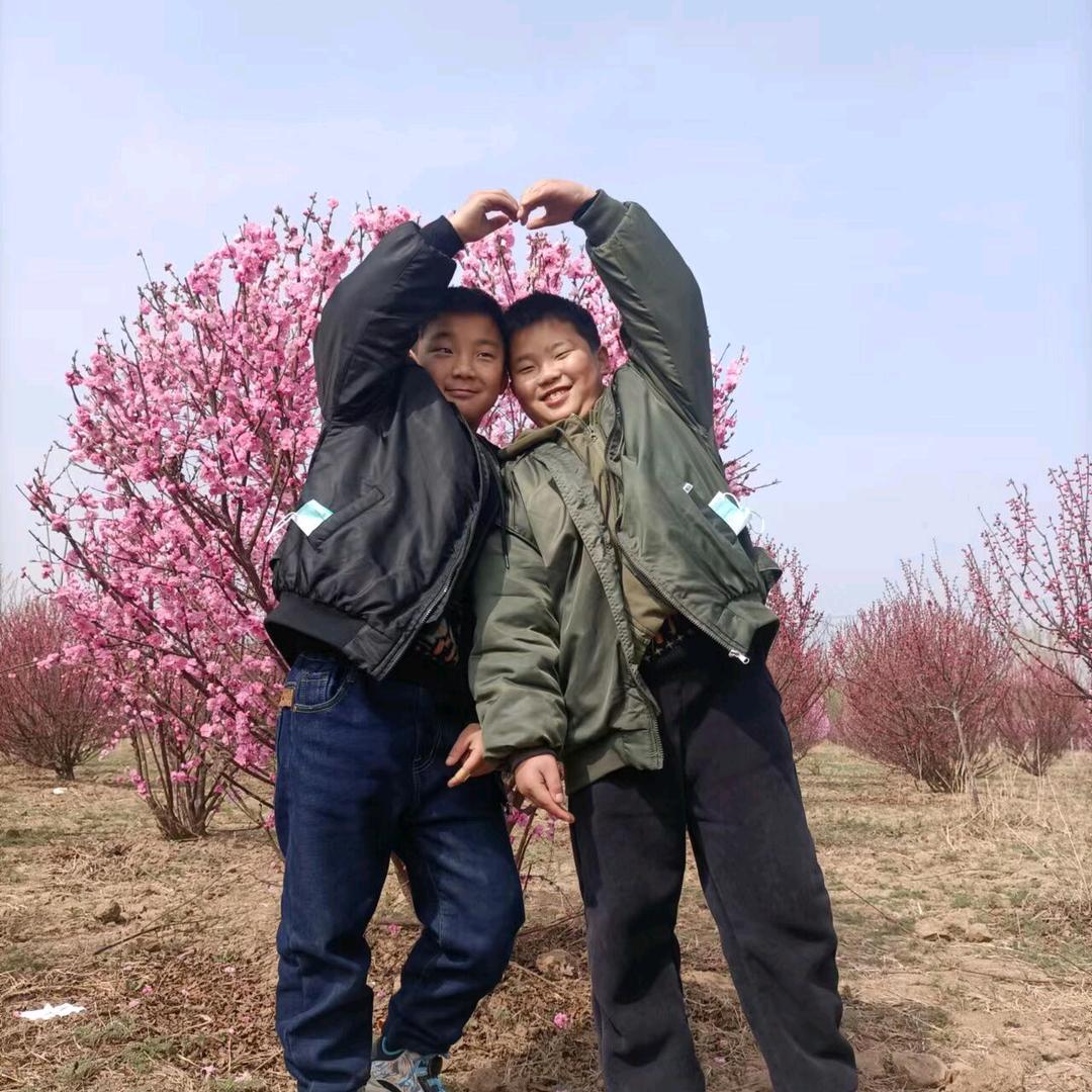 @杨杨