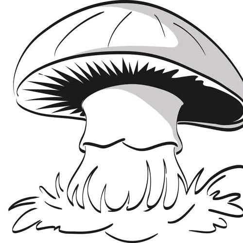山东润玉穗禾生物