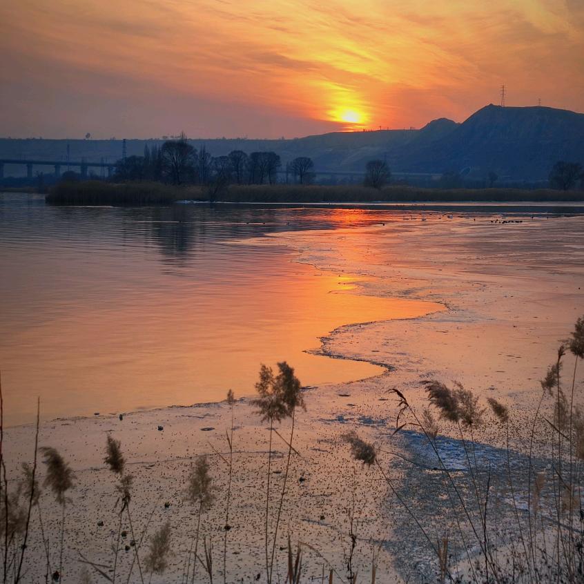 尘埃落定 ¹¹⁵¹