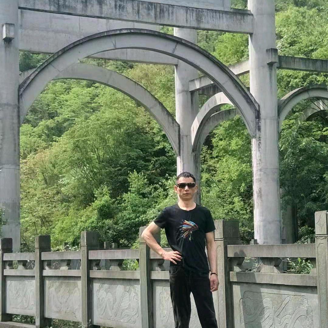 自由飞翔