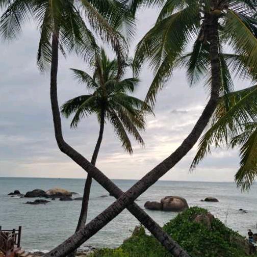 🌈🌈❤️群与恒