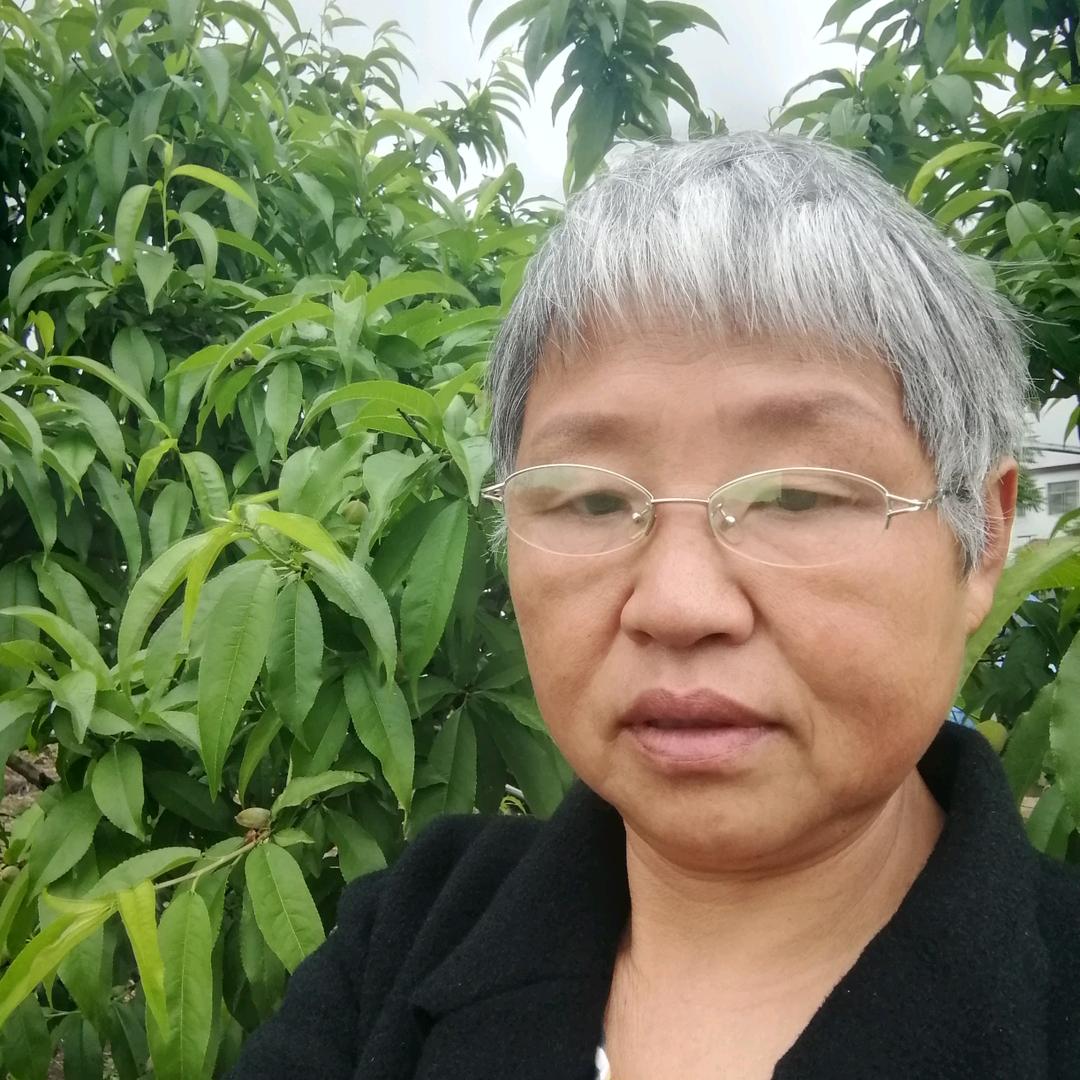 田园刘姐