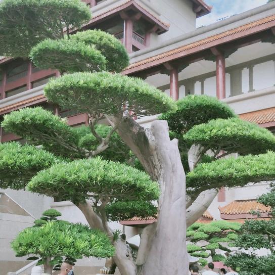 谢宝平