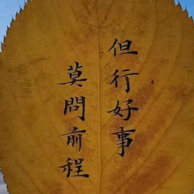 柠萌