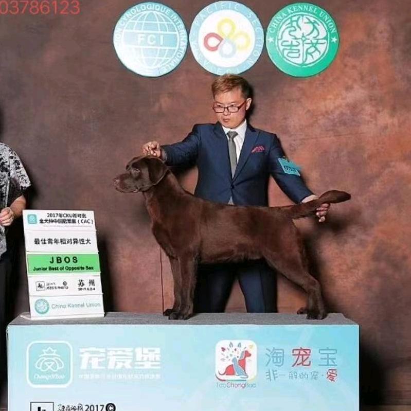陈辉