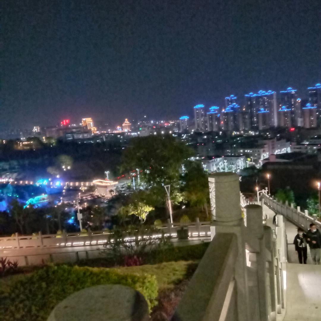 随意而安
