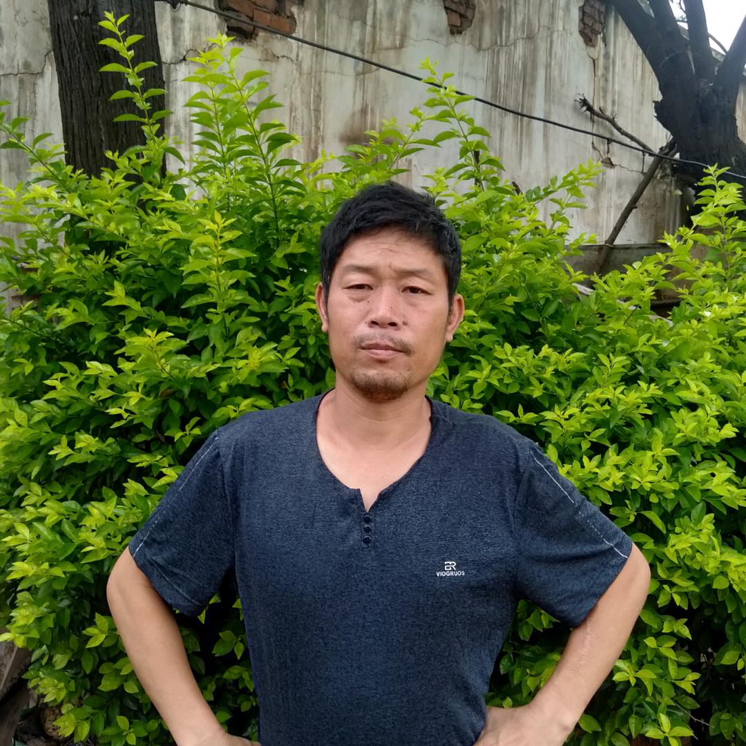 海波西瓜代办洋葱玉米