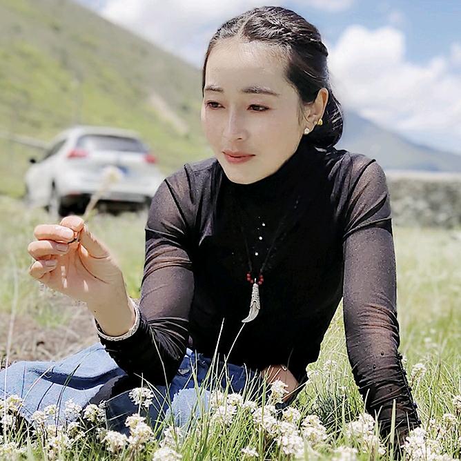 白马