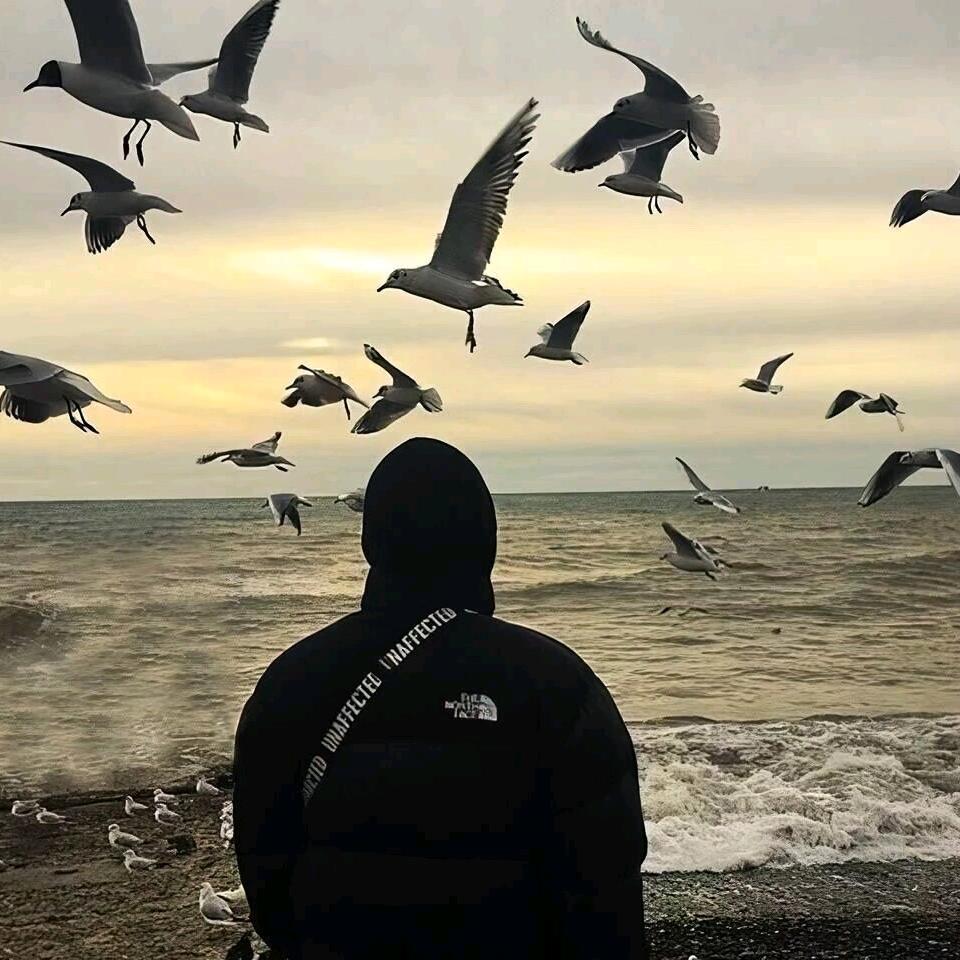 闹钟响了我没醒