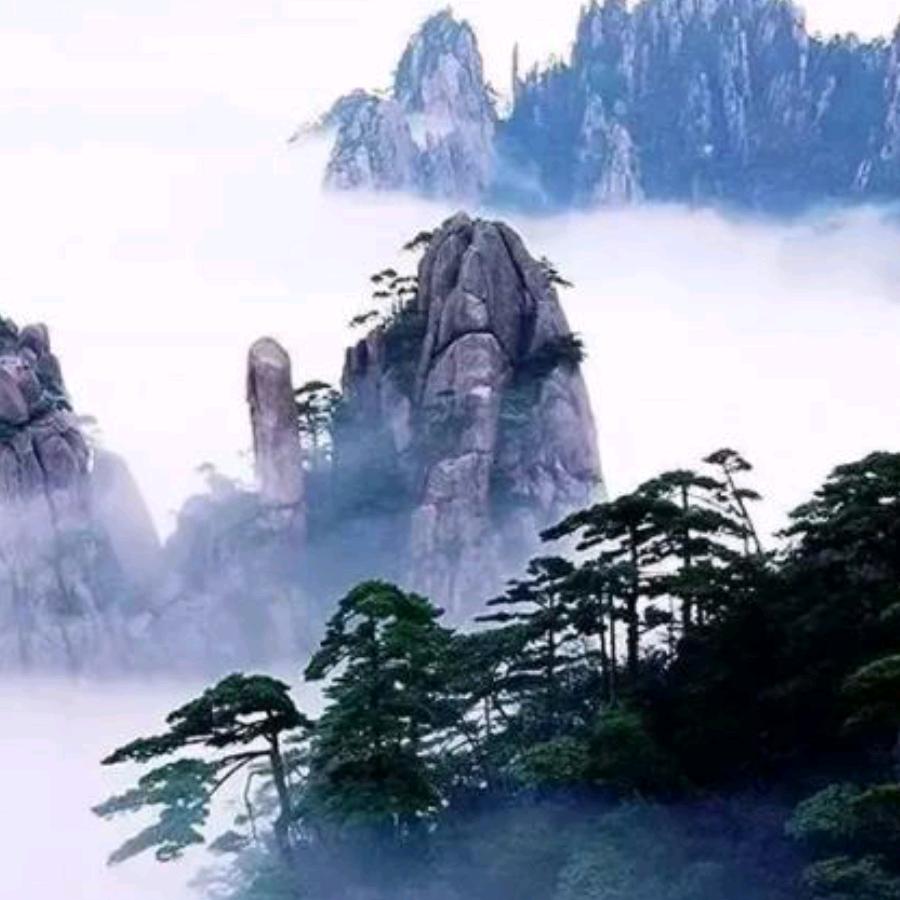 潇洒哥哥