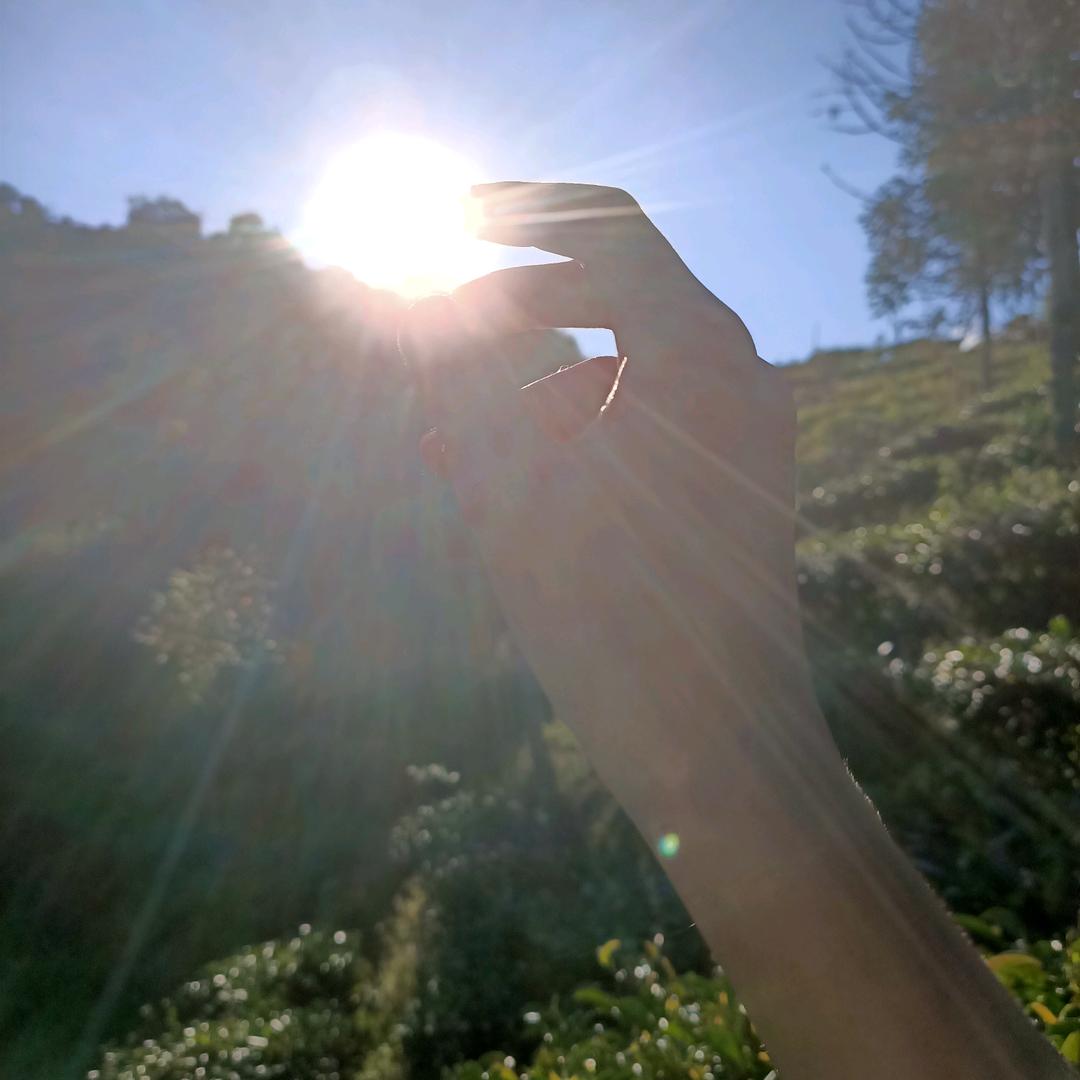 嘿！是燕子呐*^O^*