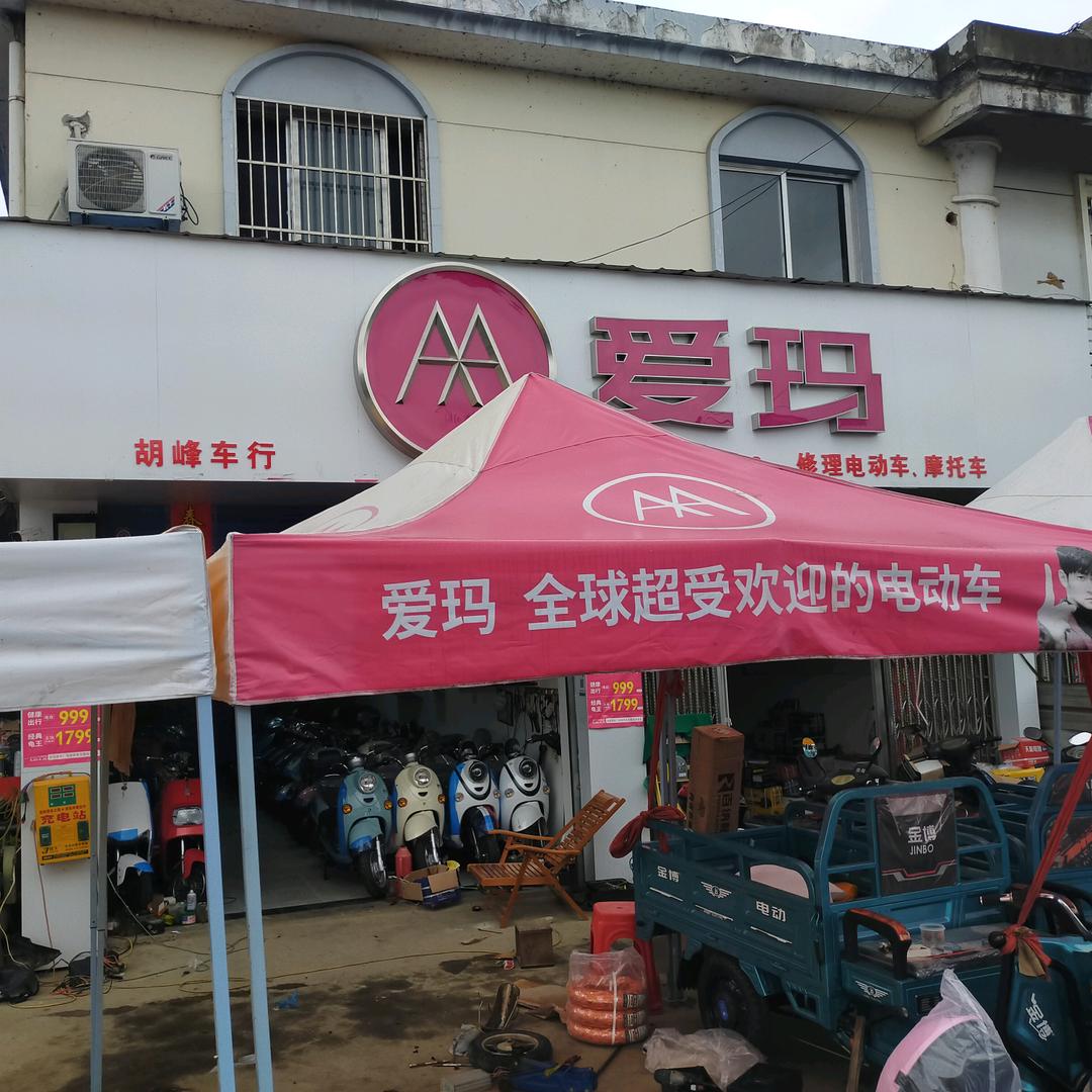 芜湖县陶辛镇胡锋车行