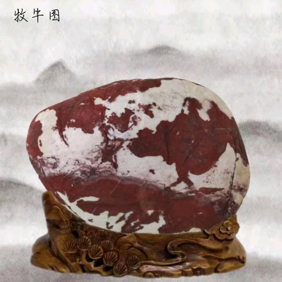 顽石者