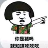你是猪吗