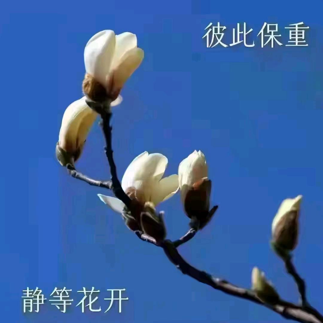 无言。