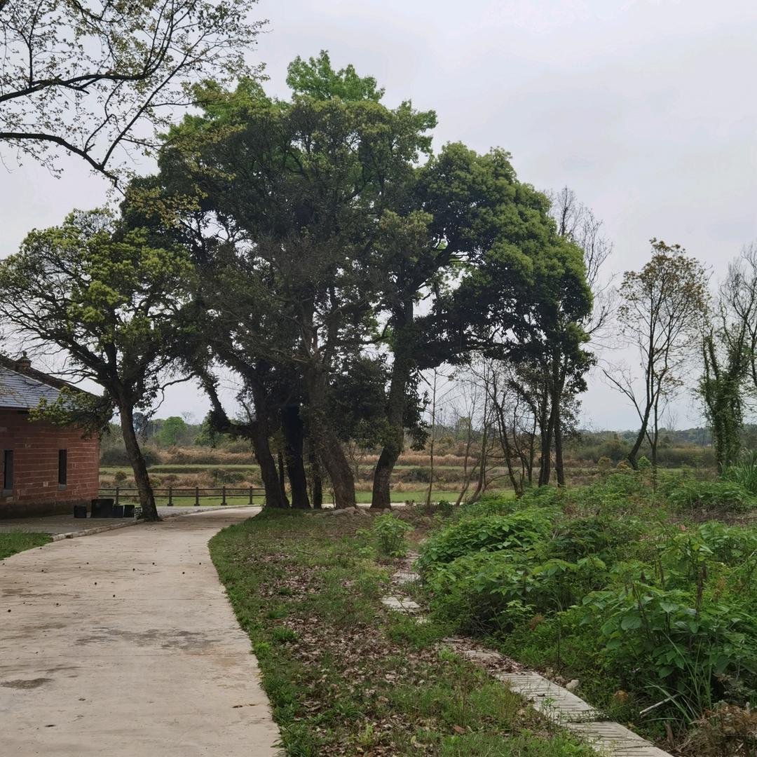 এ᭄周₅₂₀史ོꦿృ༊