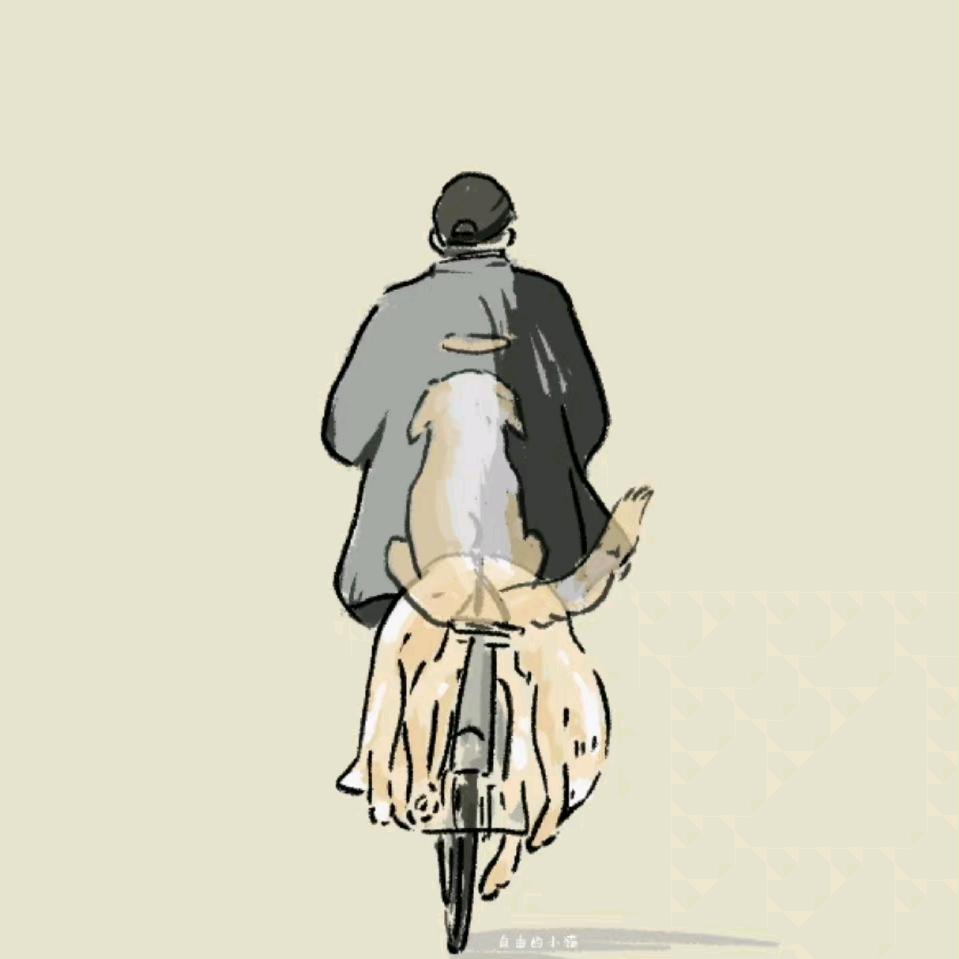 小豪是个人才