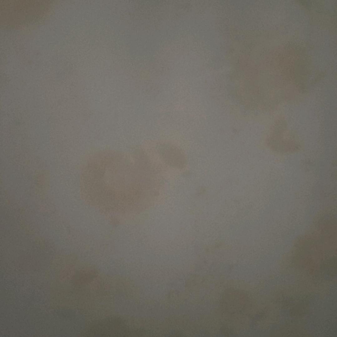 铜仙