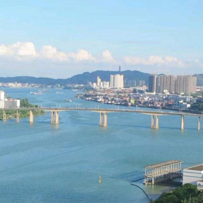 江门小强