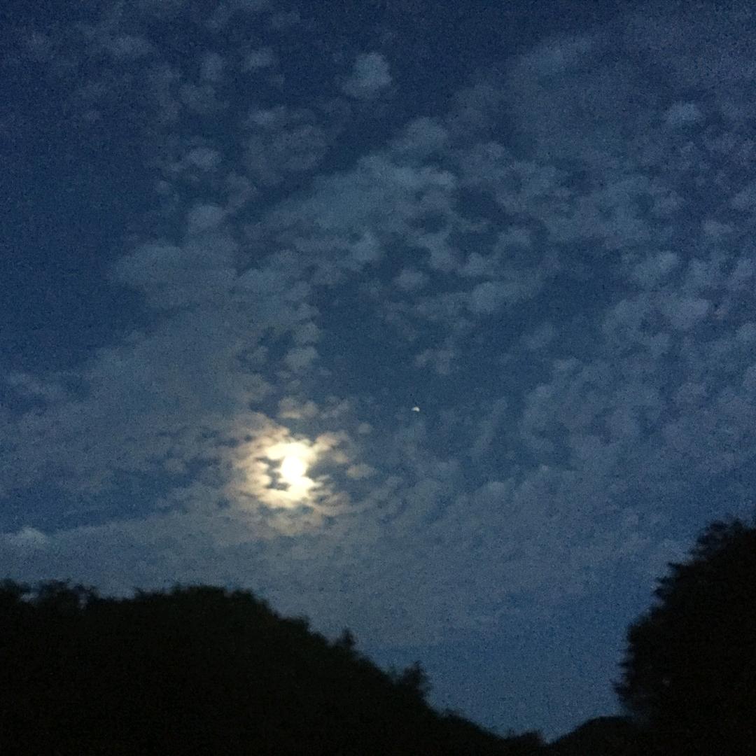 言 堇（那山那海）