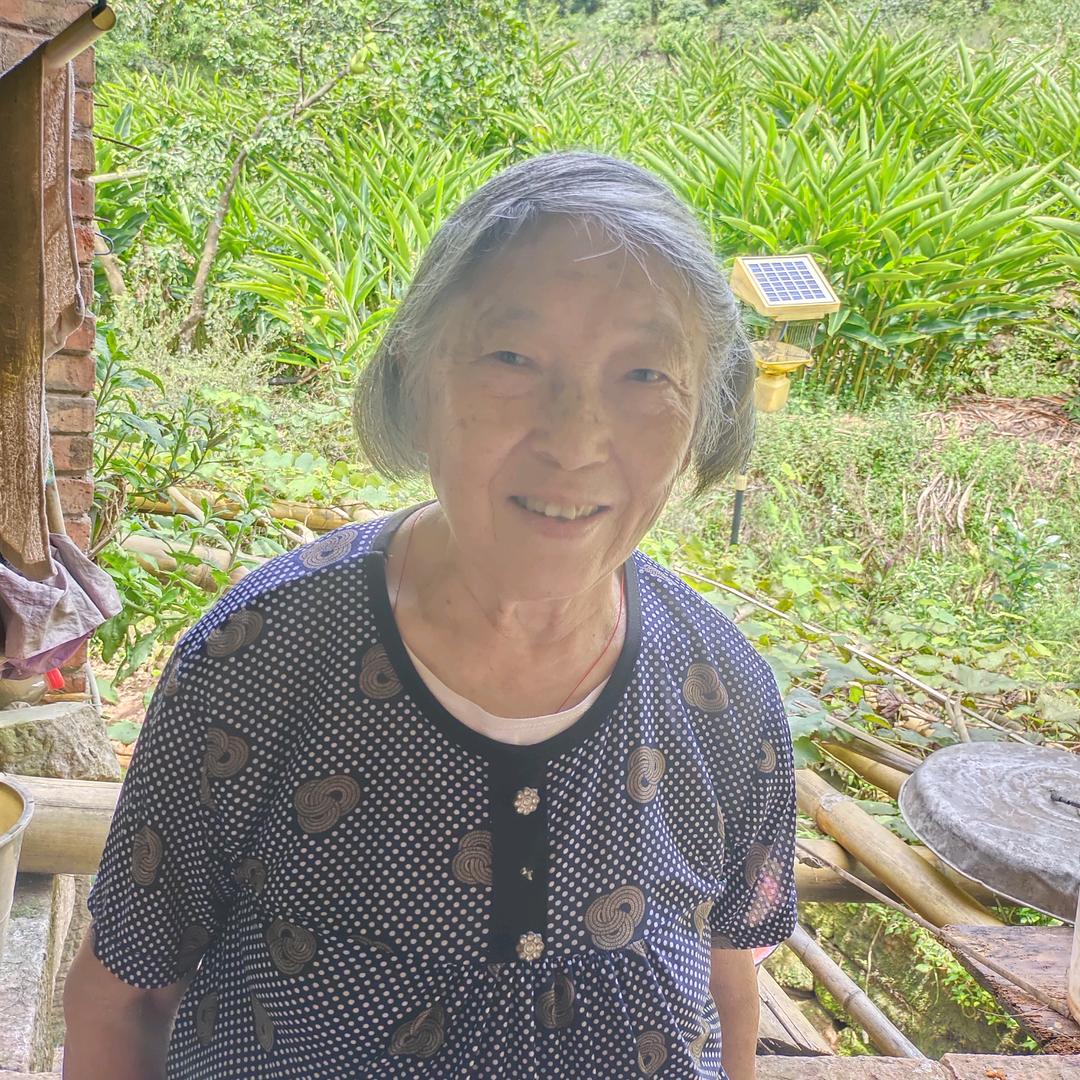 林文香41年的蛇