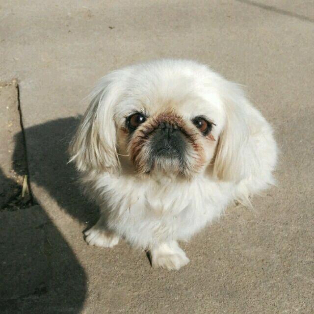 🎠『雨』 的 〖印记〗🦊