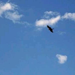 幸福的中年男人