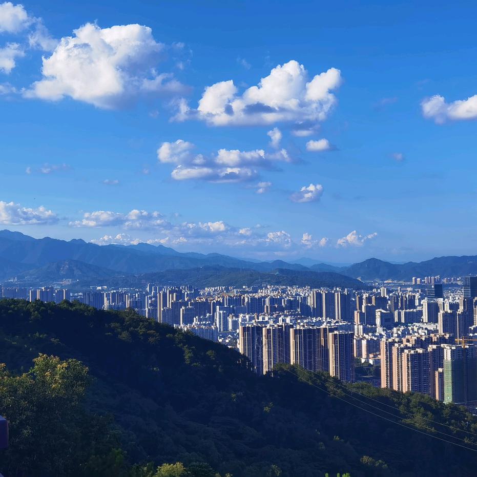 采姑娘的小蘑菇