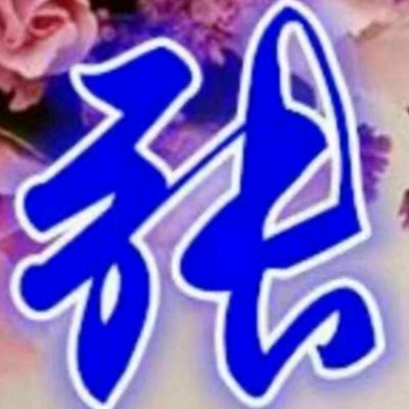 张家狗肉烧饼