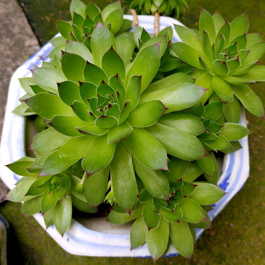 奋斗