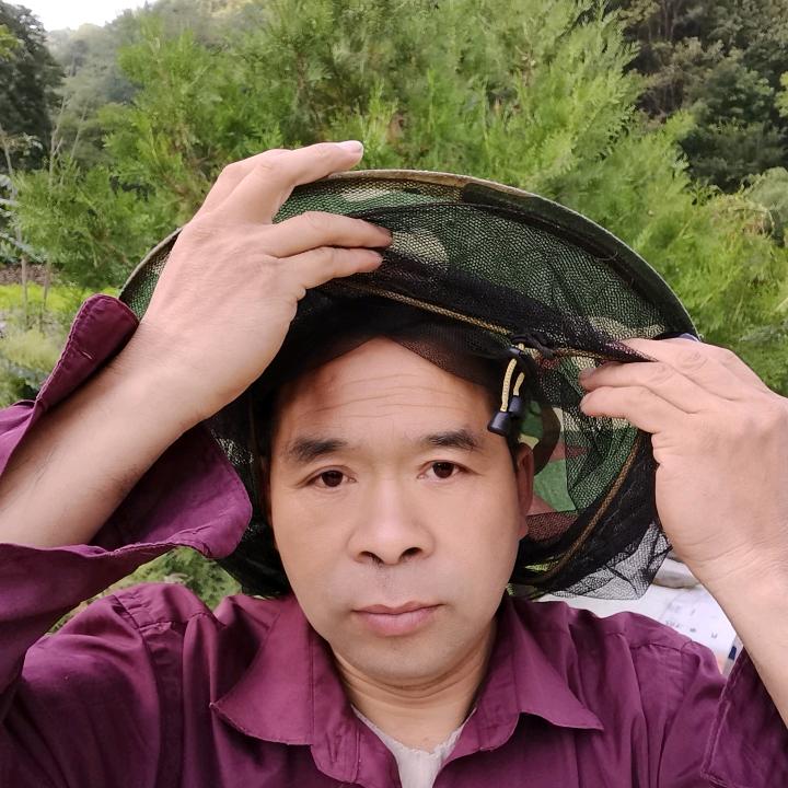 山阳县忠诚蜜蜂小店