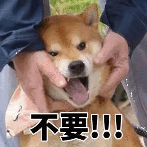 🌈🌈🌈呱？呱呱？