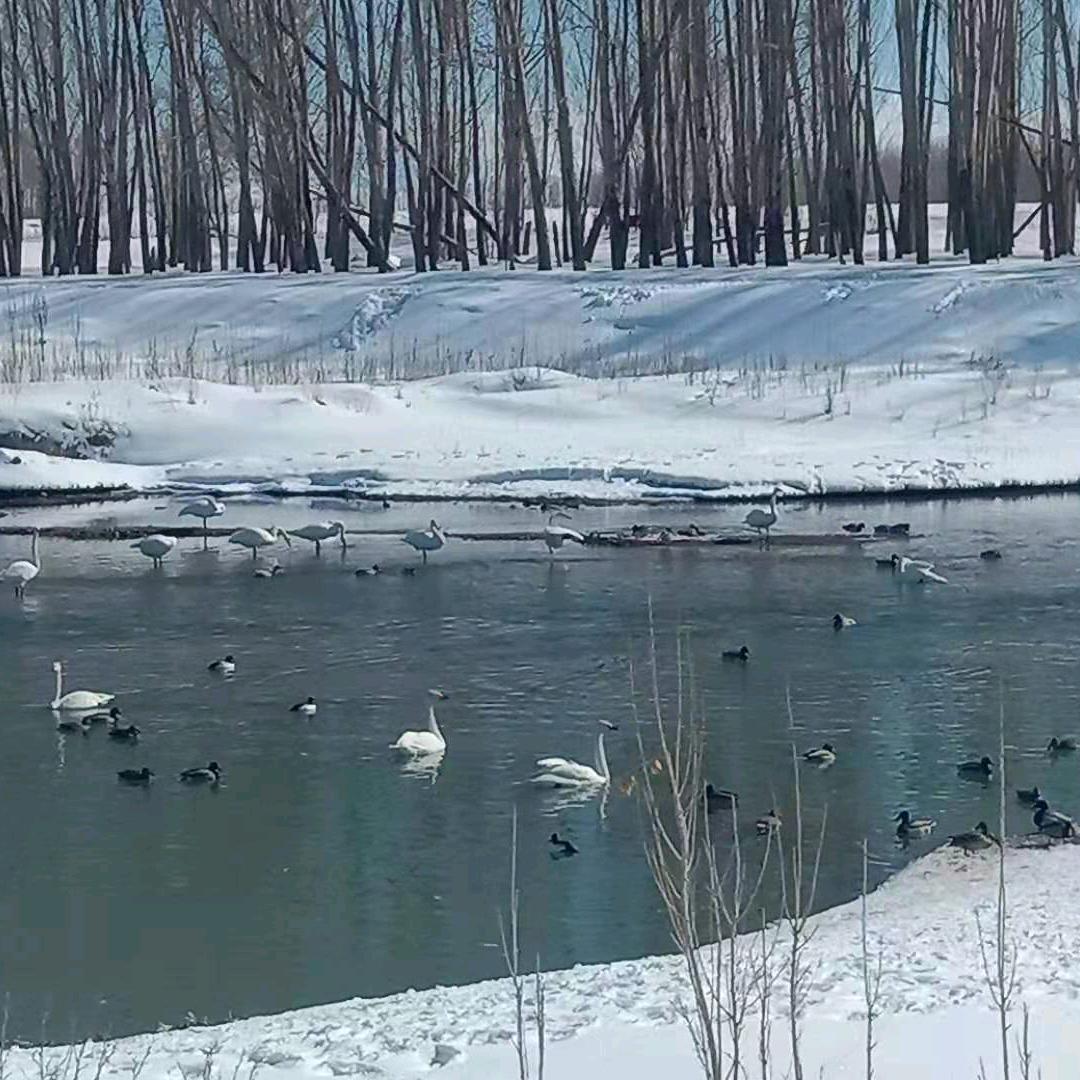 永恒之火