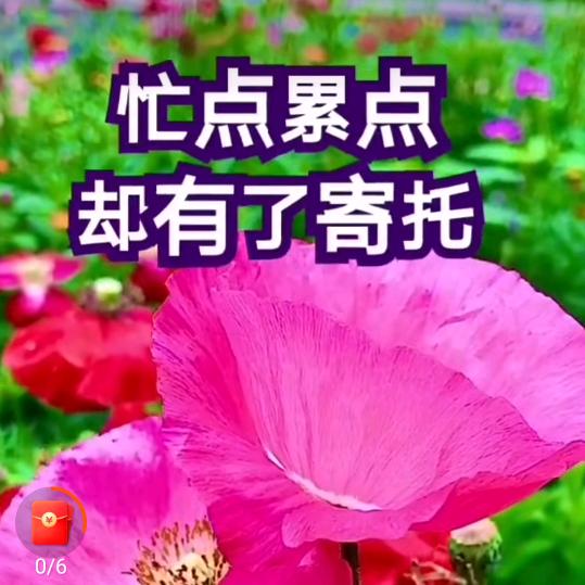 嗨