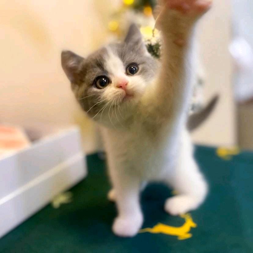 落霞与孤鹜齐飞。