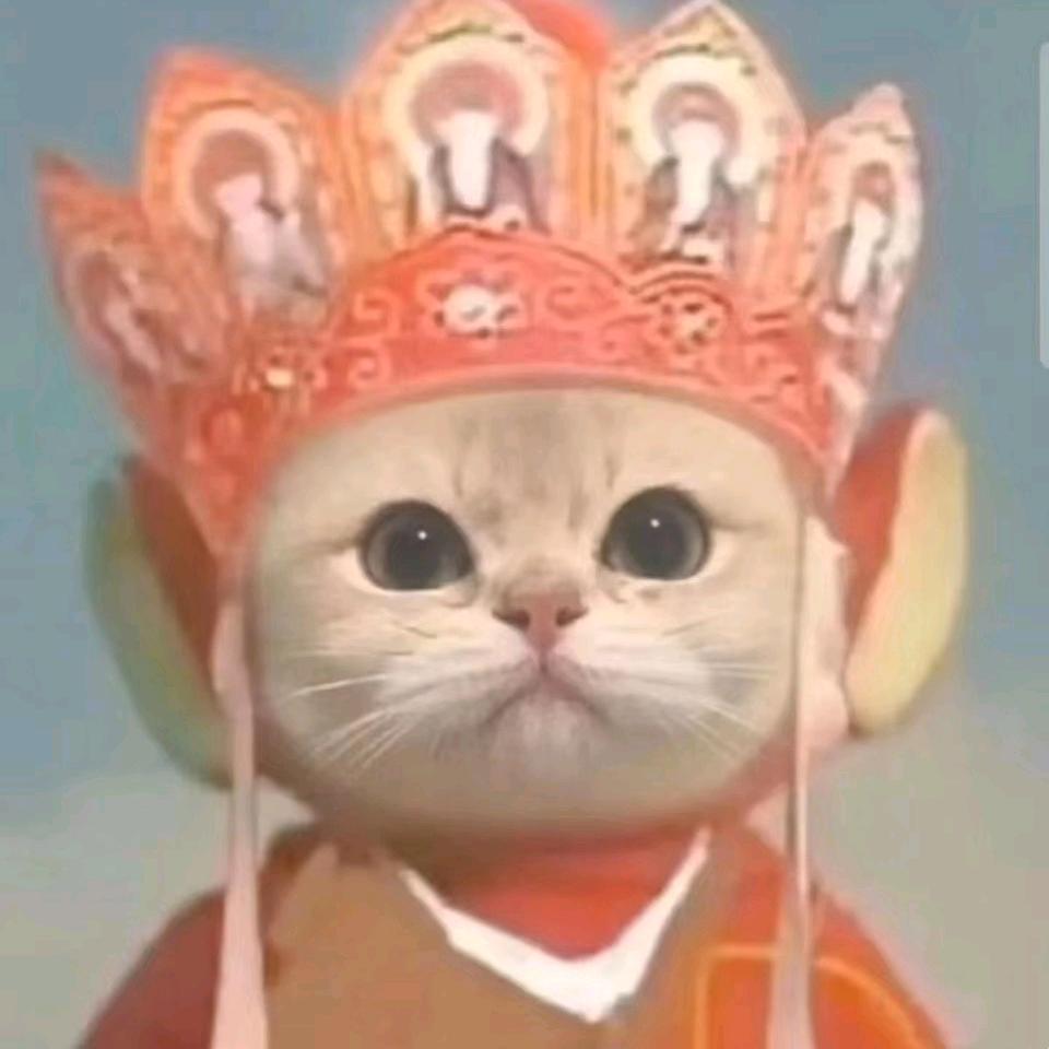 一梦星河