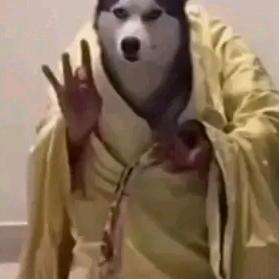&…
