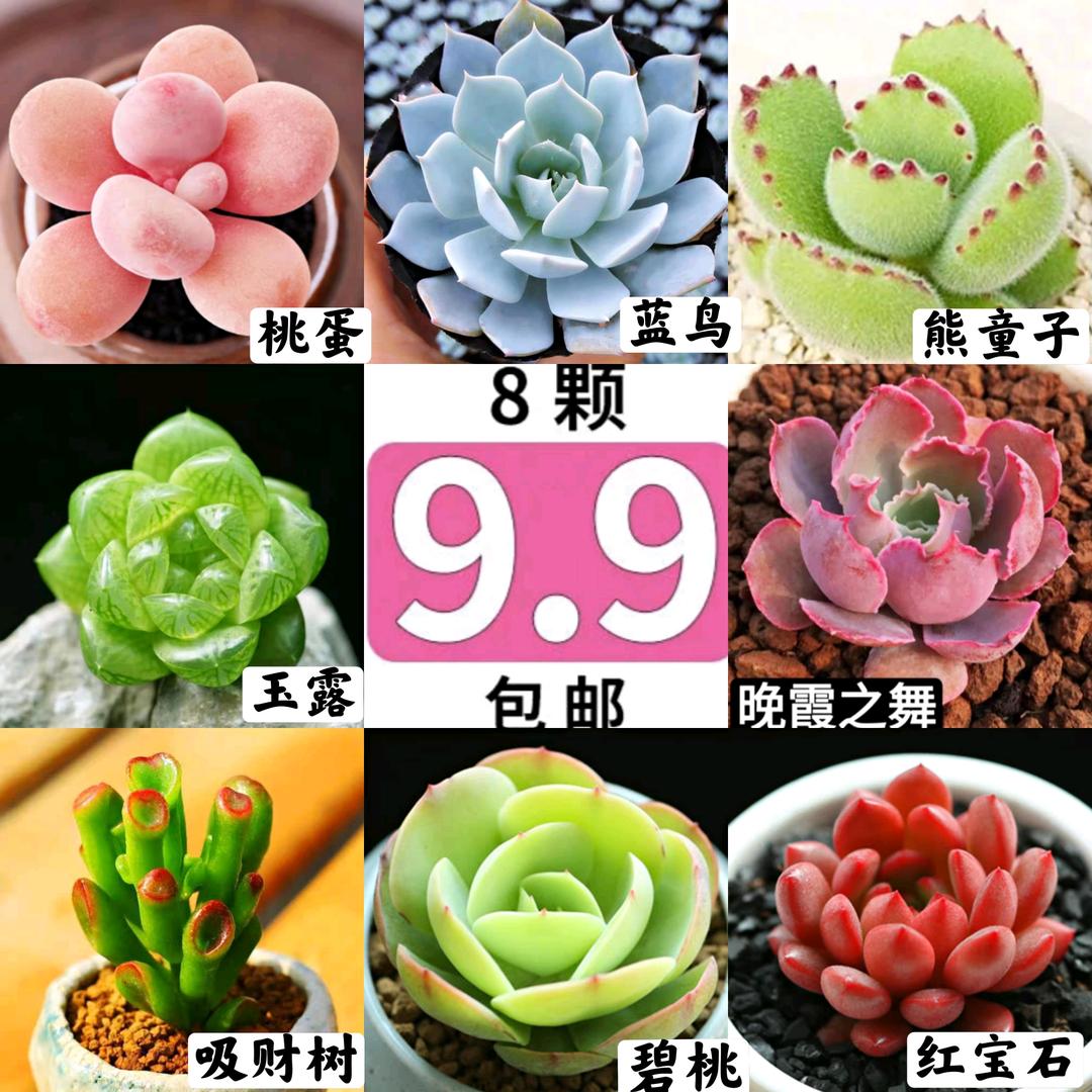 胡建明