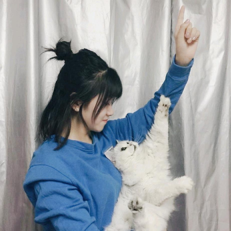 小蛋儿猫舍🐱