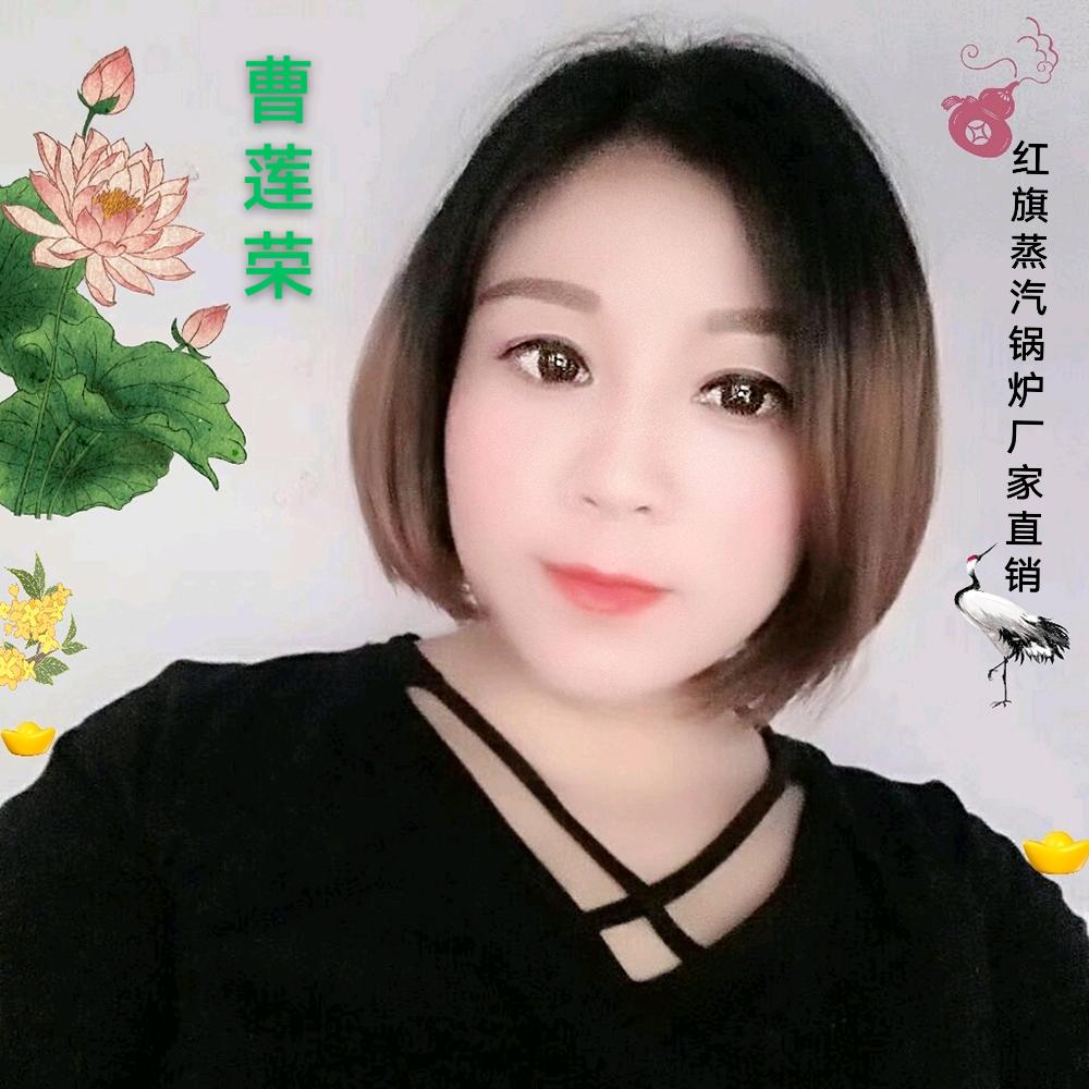 红旗蒸汽锅炉厂家直销