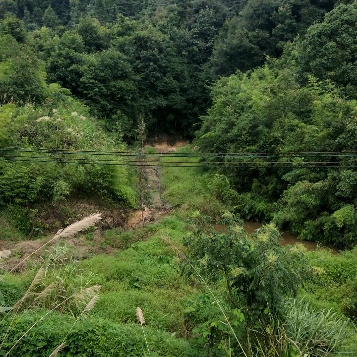 丰源生态农场