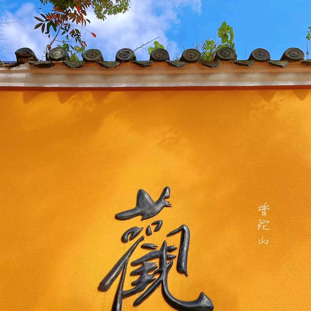 普陀山自在旅游